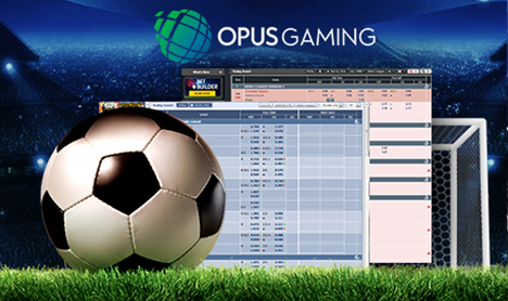 online sport betting 7liveasia